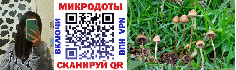 Псилоцибиновые грибы Magic Shrooms  Купить где  Красноуфимск 